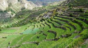 Valle de Sondondo